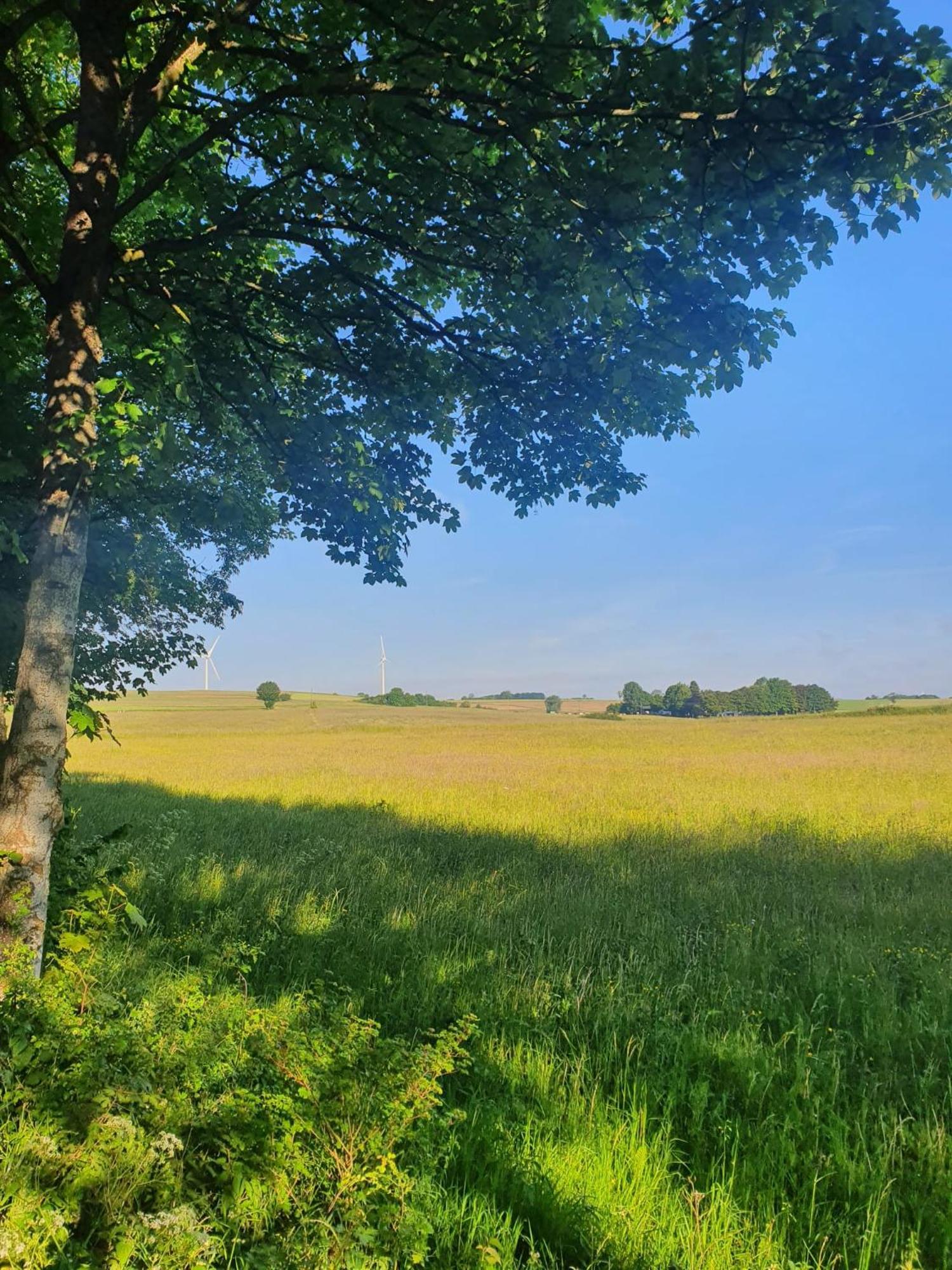 Schoene Aussicht Nettersheim